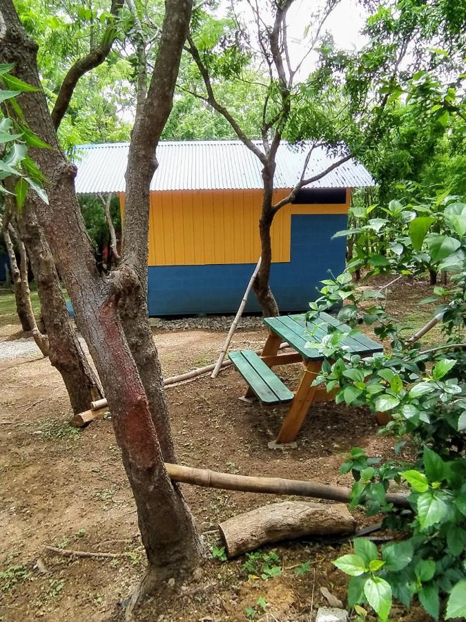 Cabanas Casa Soley Puerto Soley Exterior photo